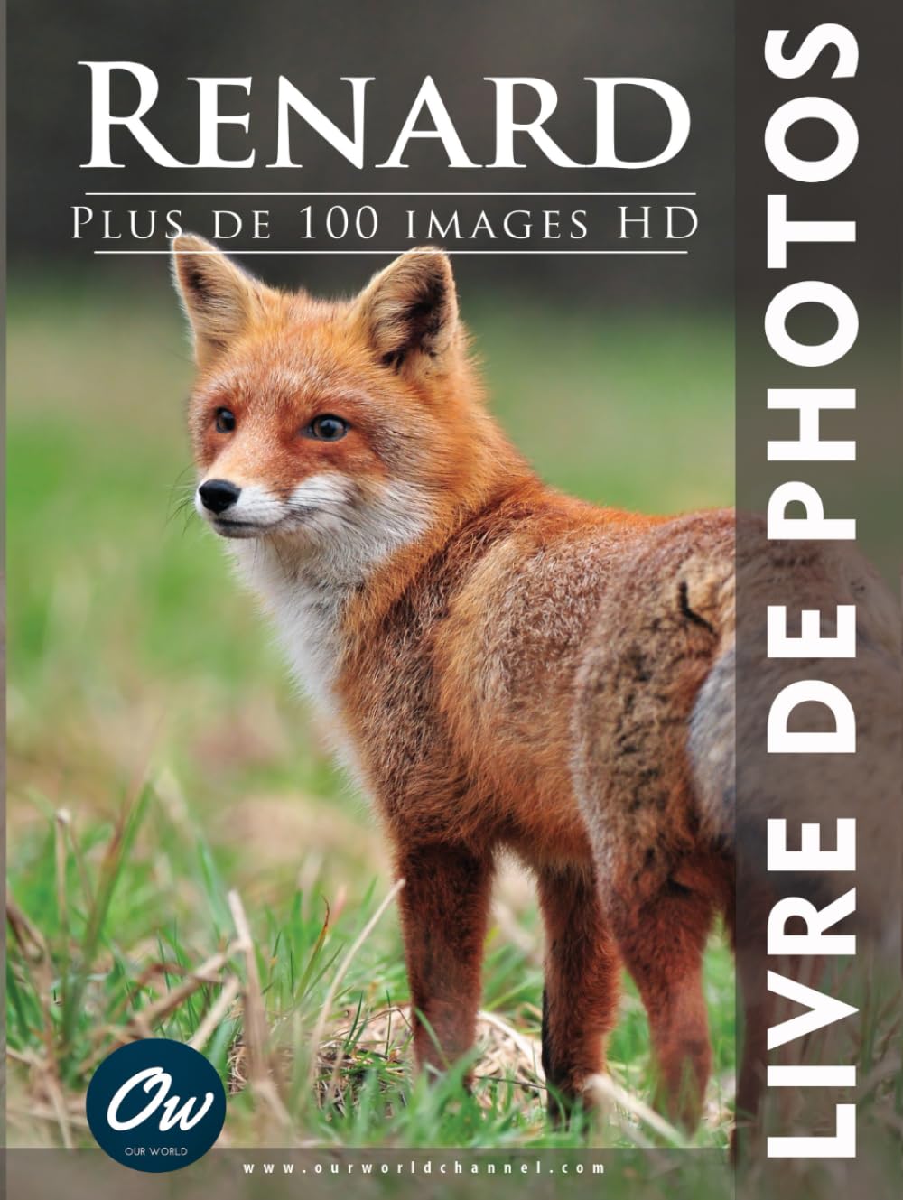 Renard: Livre de Photos Nature & Animals