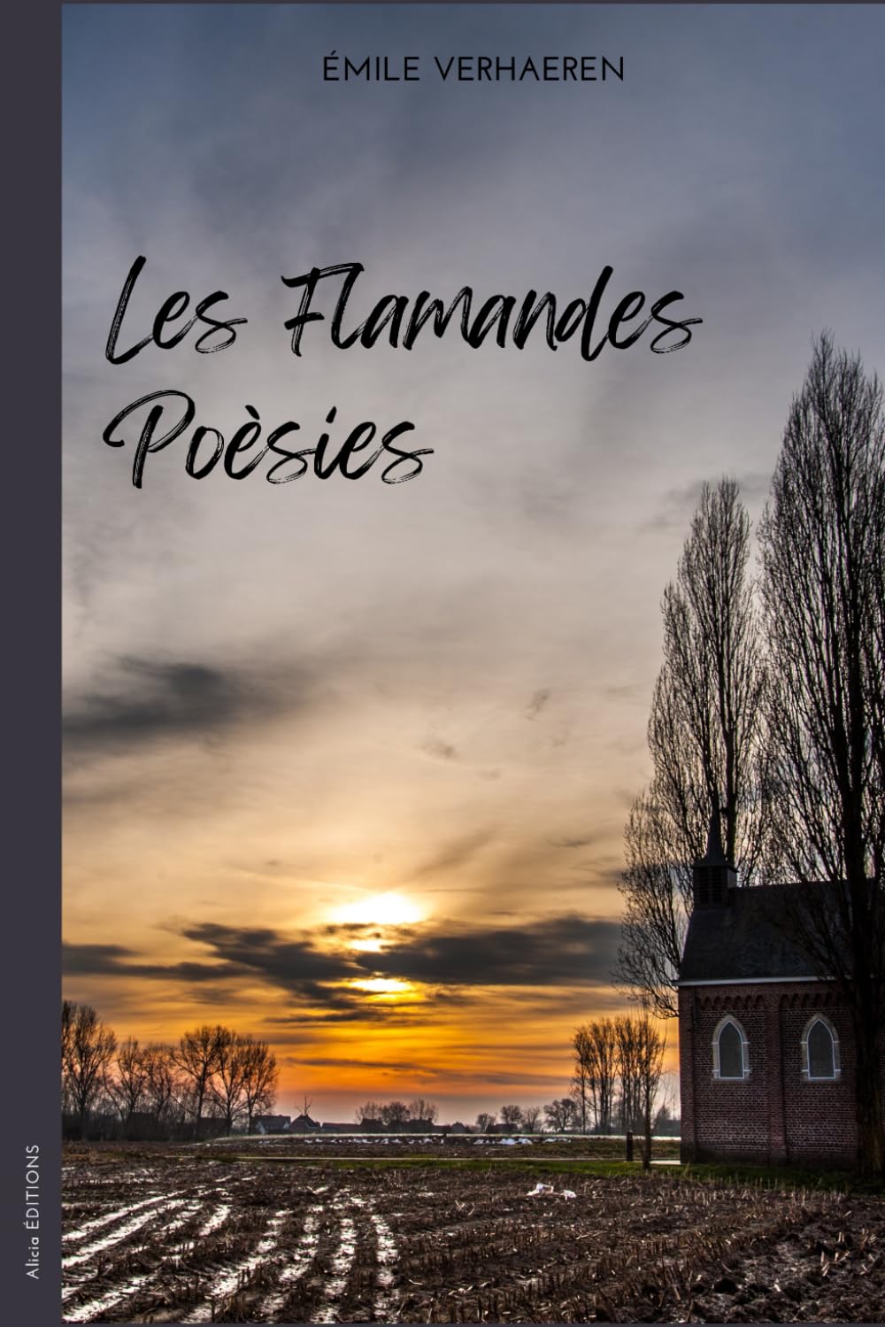 Les Flamandes: poésies book