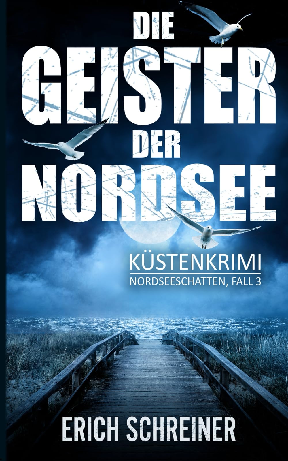 Die Geister der Nordsee: Küstenkrimi (Hansen & Stahl ermitteln, Band 3) (Reihe Nordseeschatten, Band 3) Detective & CSI