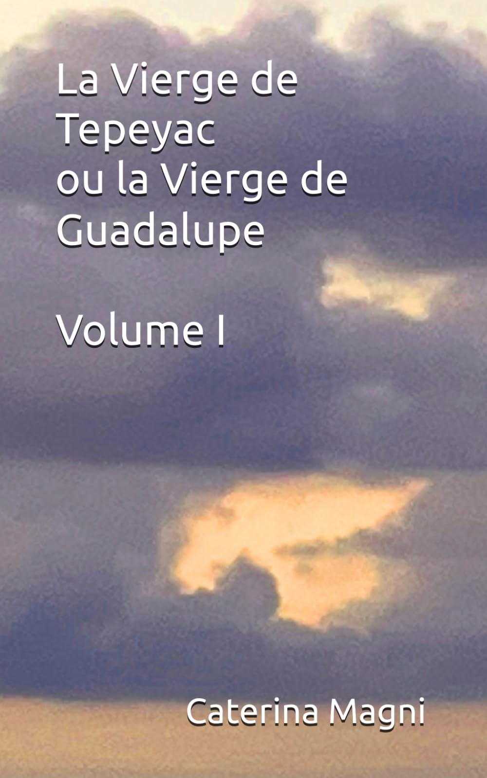 La Vierge de Tepeyac ou la Vierge de Guadalupe: Volume I book