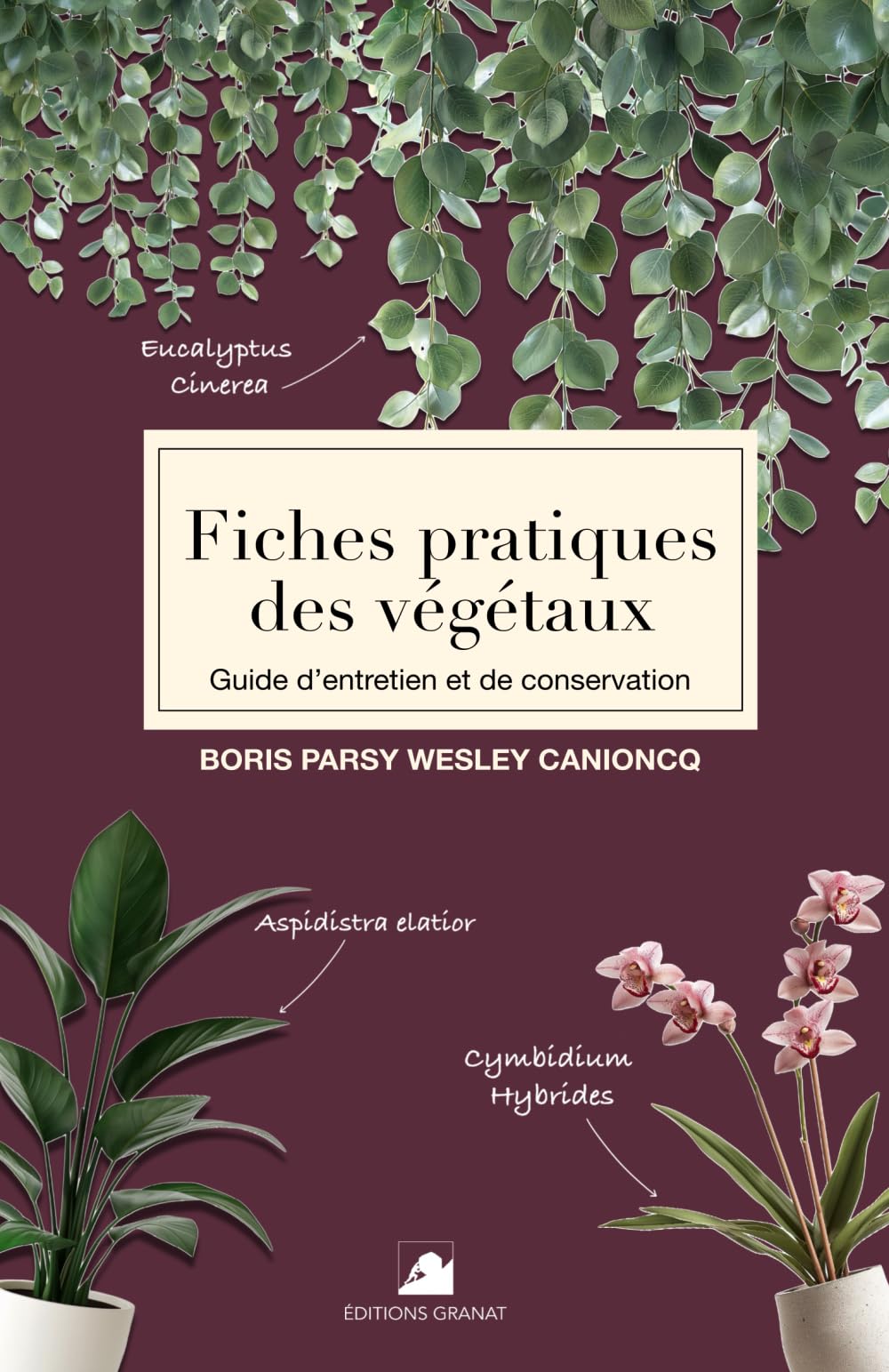 Fiches pratiques des Végétaux: Guide d'entretien et de conservation book