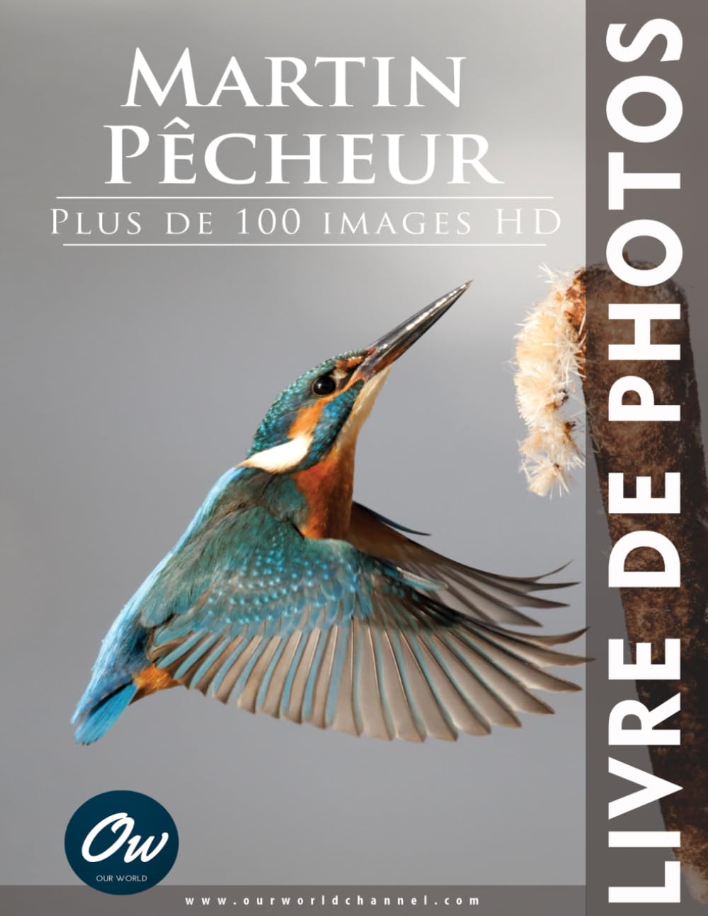 Martin-pêcheur: Livre de Photos book