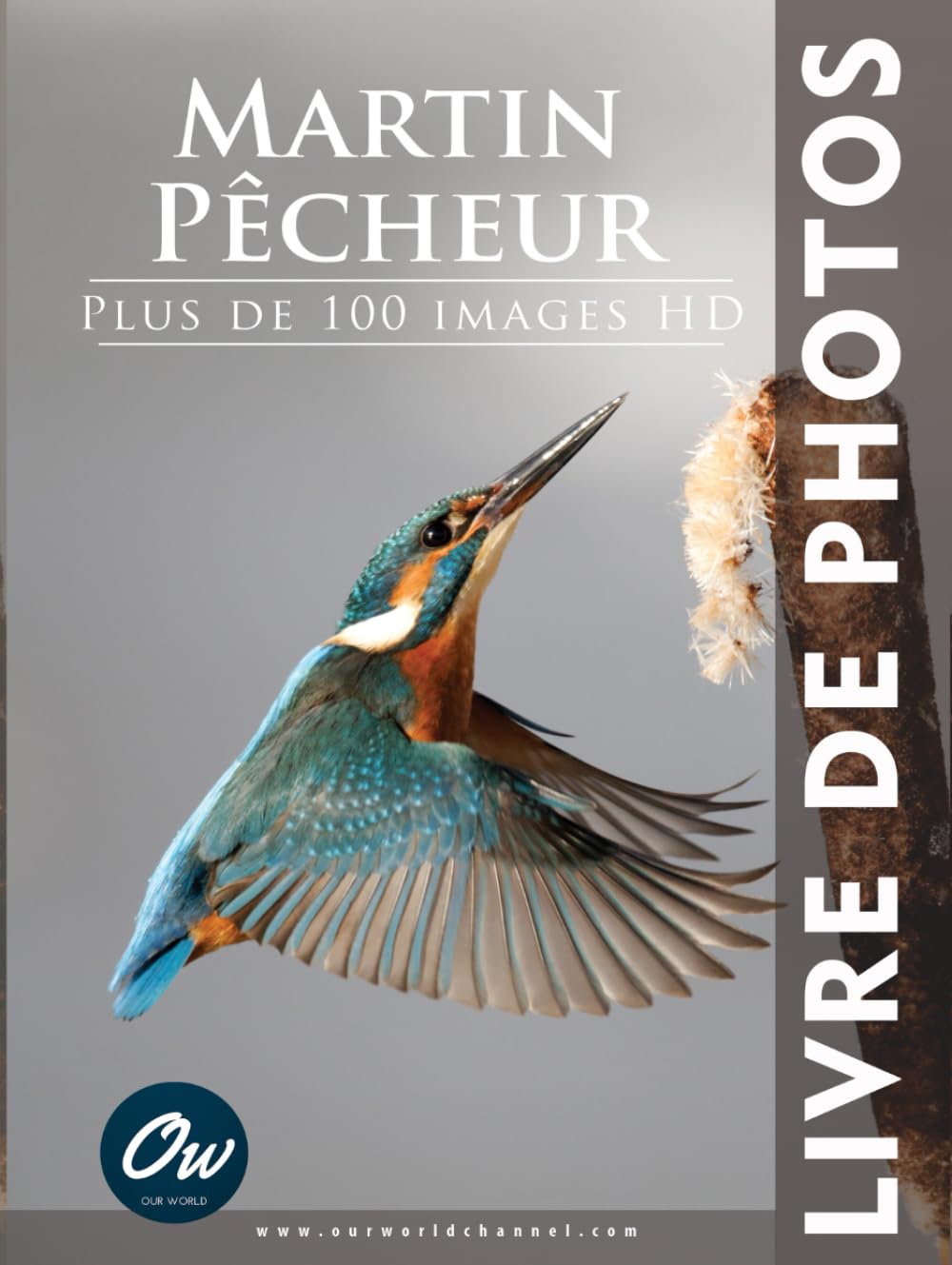 Martin-pêcheur: Livre de Photos book