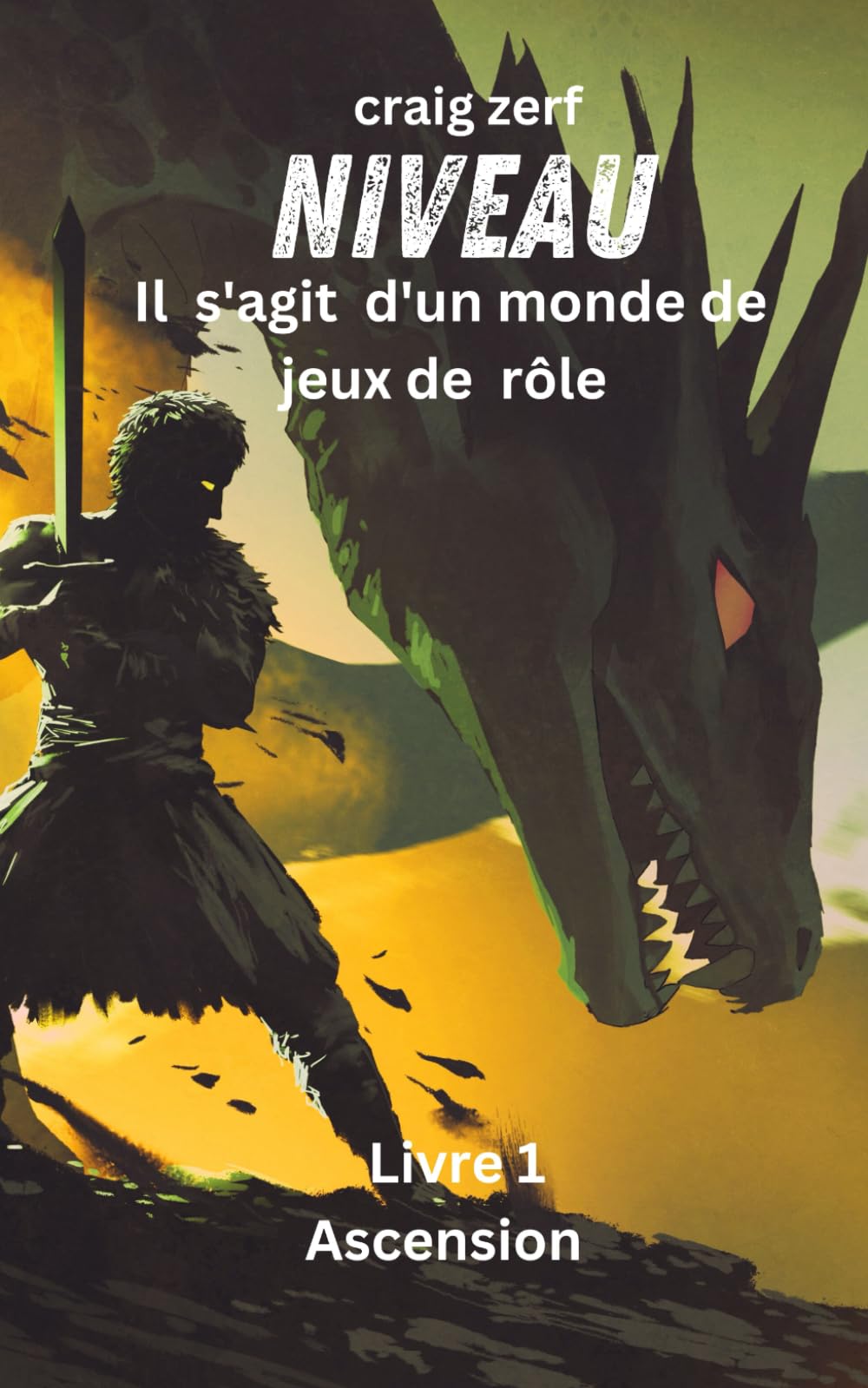 Niveau - Il s'agit d'un monde de jeux de rôle: Un roman d'aventure litRPG intégrant un système d'apocalypse terrestre book