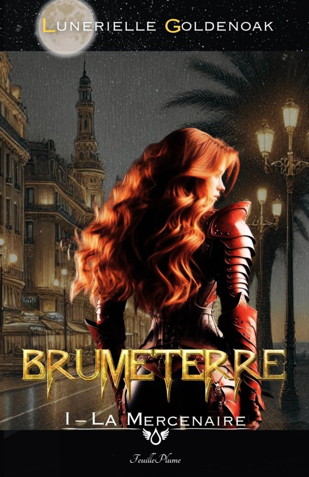 Brumeterre 1 - La Mercenaire: roman de dark fantasy contemporaine et libertine book