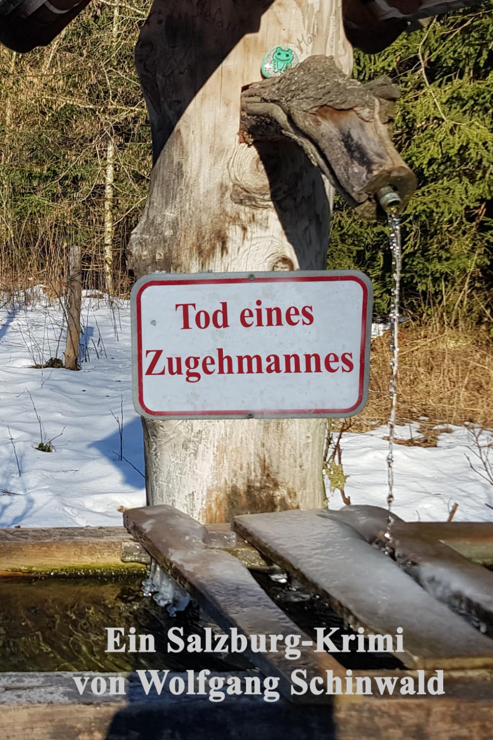 Tod eines Zugehmannes (Wallersee-Krimi) Detective & CSI