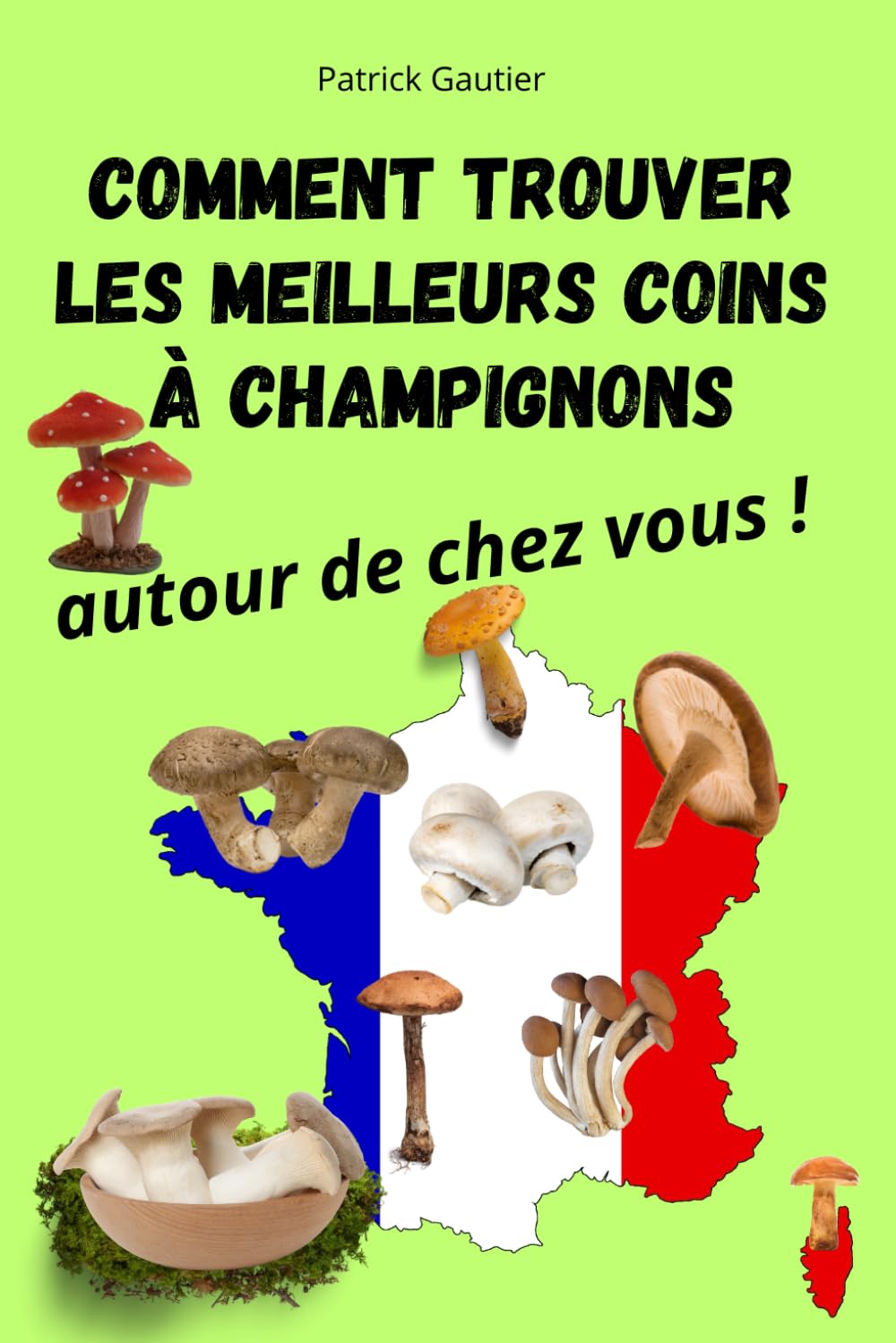 COMMENT TROUVER LES MEILLEURS COINS A CHAMPIGNONS AUTOUR DE CHEZ VOUS: Le guide complet pour savoir où, quand et comment cueillir vos champignons - ... pour créer votre carte aux trésors. book
