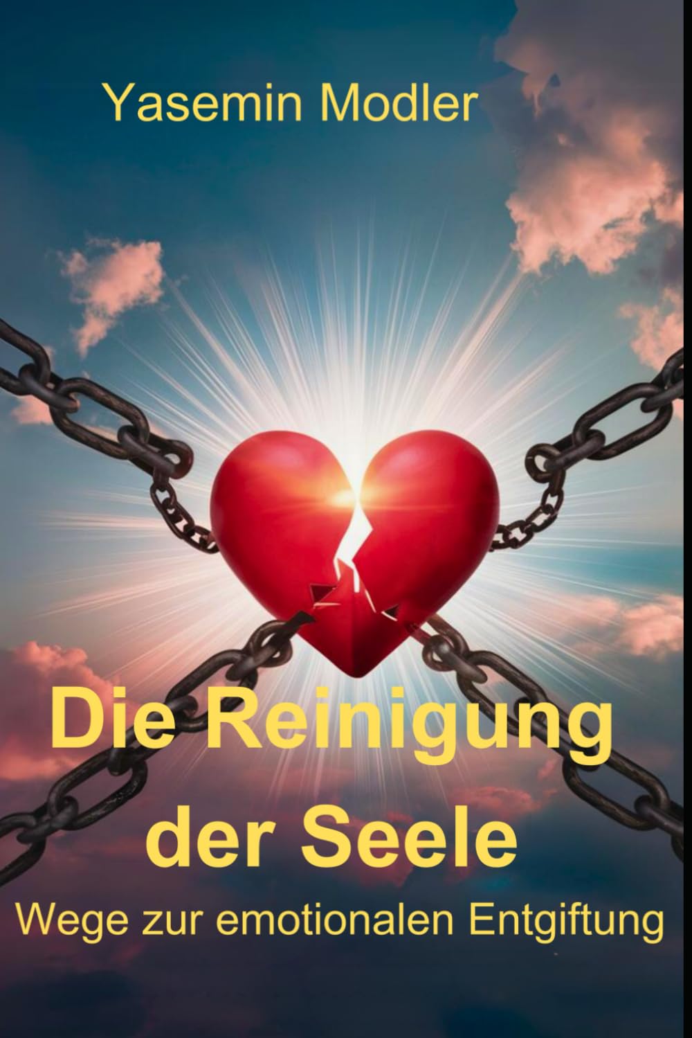Die Reinigung der Seele: Wege zur emotionalen Entgiftung book