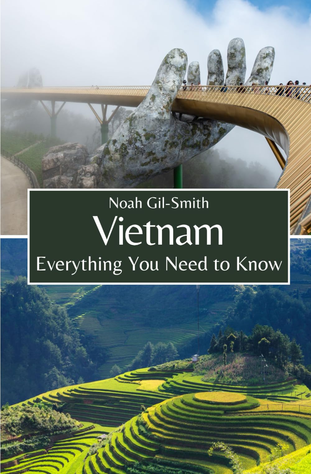 Vietnam: Everything You Need to Know Politics & History books