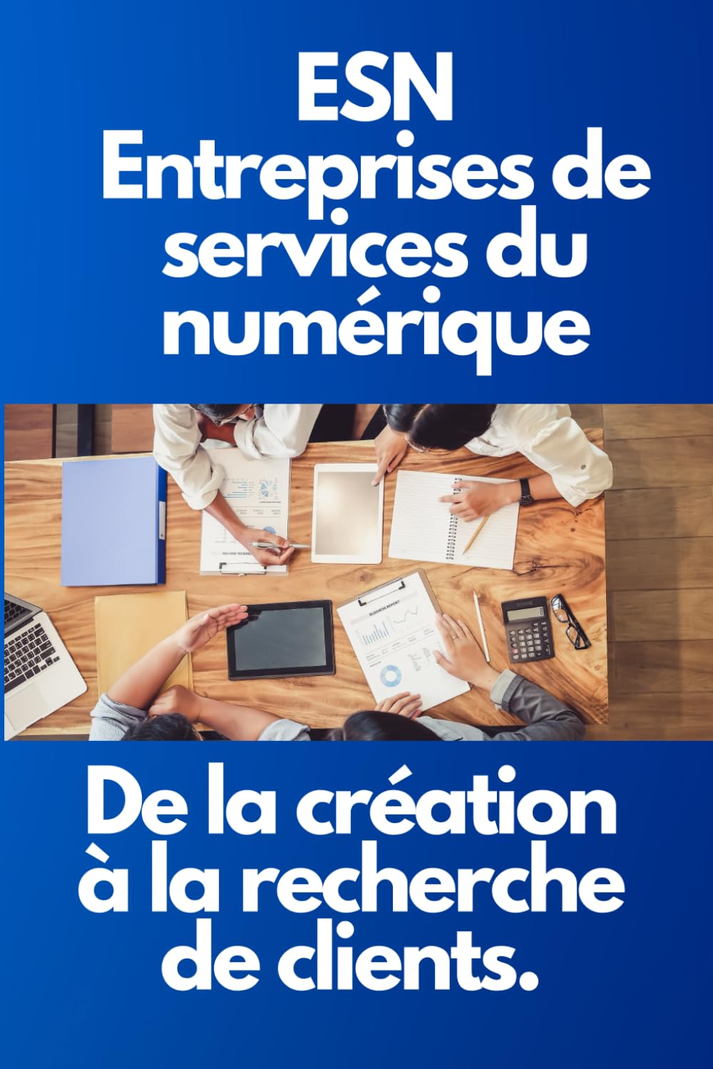 ESN : Entreprises de services du numérique de la création à la recherche de clients | Guide Pratique pour le Développement et le Marketing des ESN book