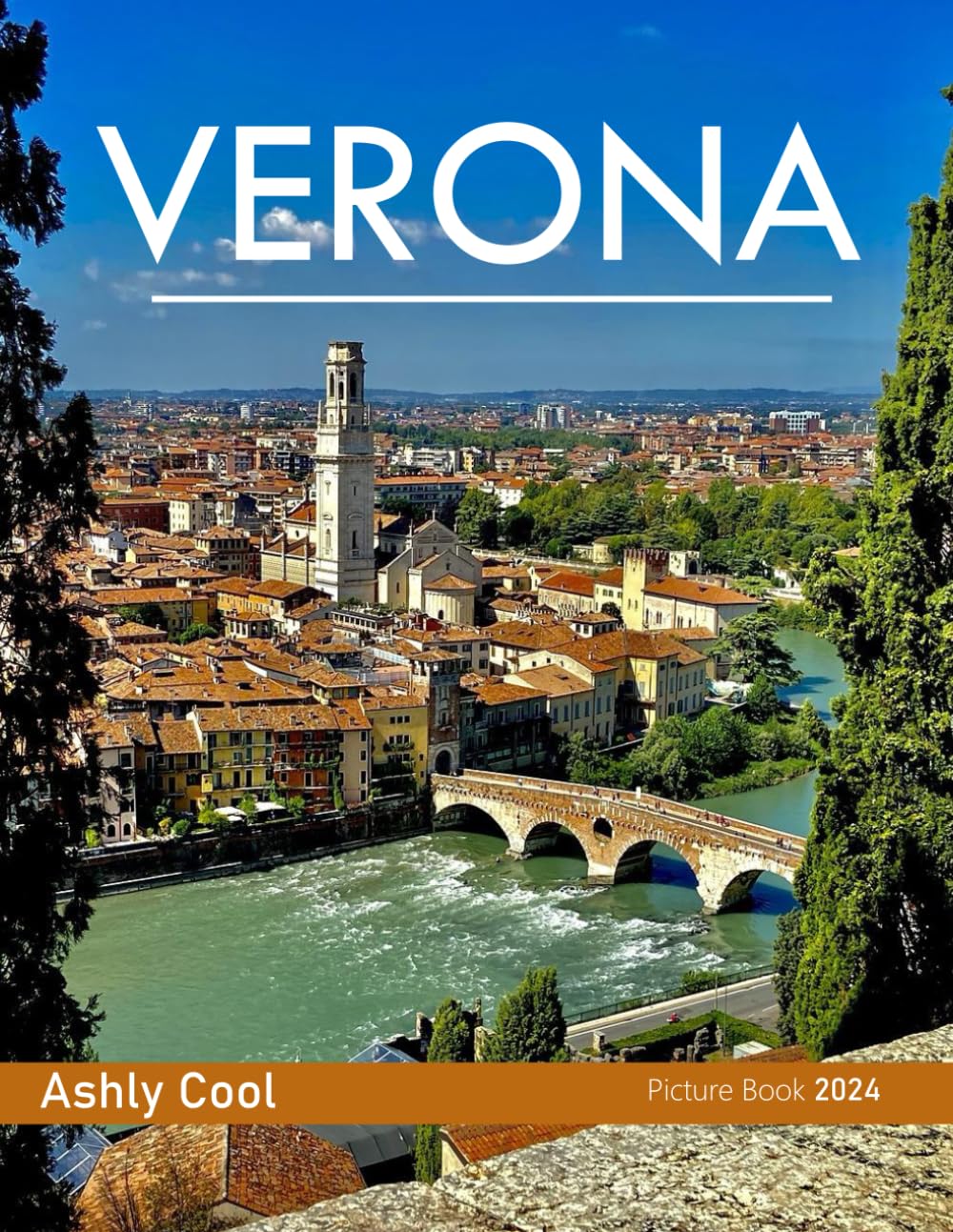 Verona Italy: 40 Cool Pictures That Create An Idea For You About Verona Italy- Perfect Gift for tourism & travel lovers.....Relaxing & Meditation. Business, Finance & Career
