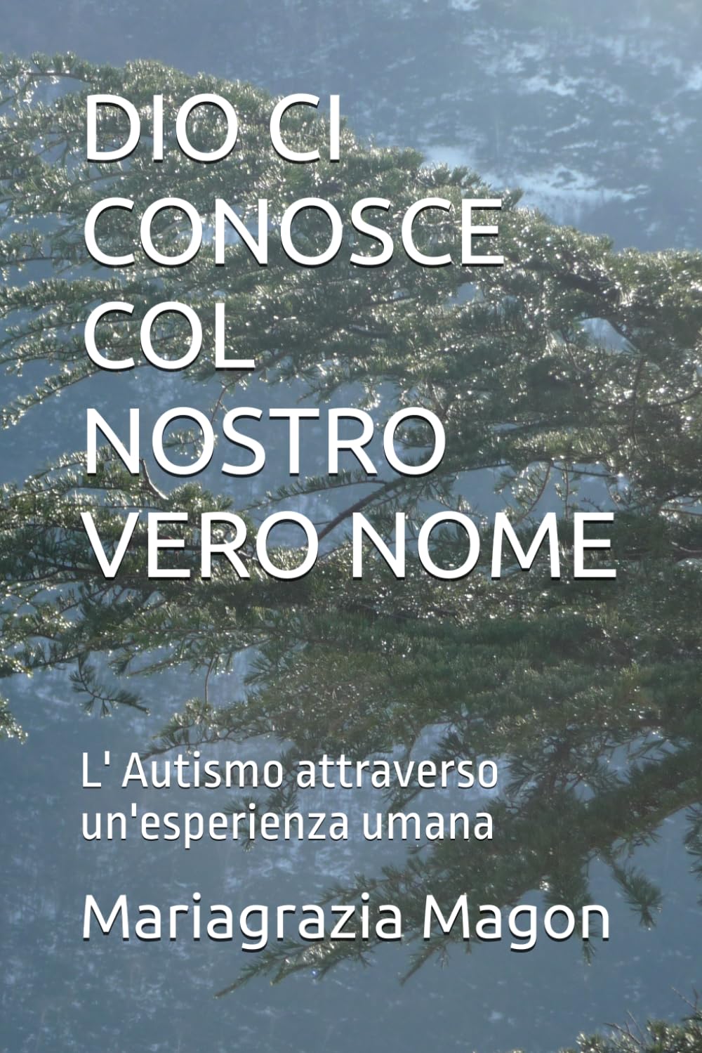 DIO CI CONOSCE COL NOSTRO VERO NOME: L' Autismo attraverso un'esperienza umana book