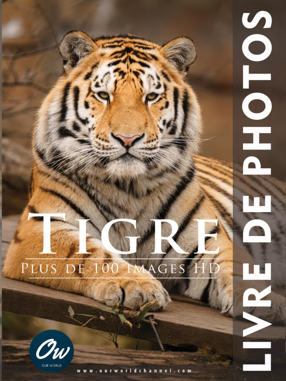 Tigre: Livre de Photos book