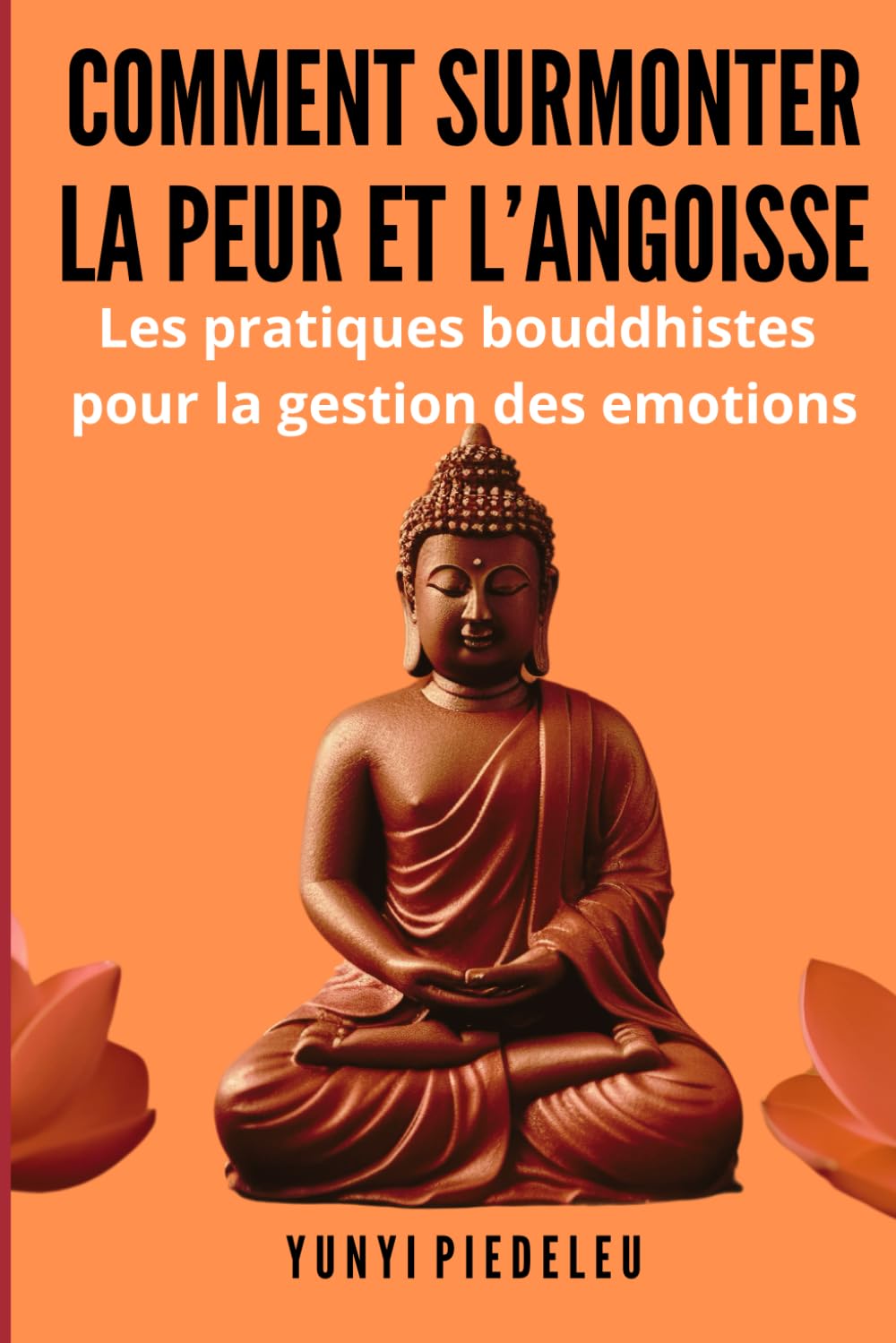 Comment surmonter la peur et l'angoisse: Retrouver la sérénité et le bonheur book