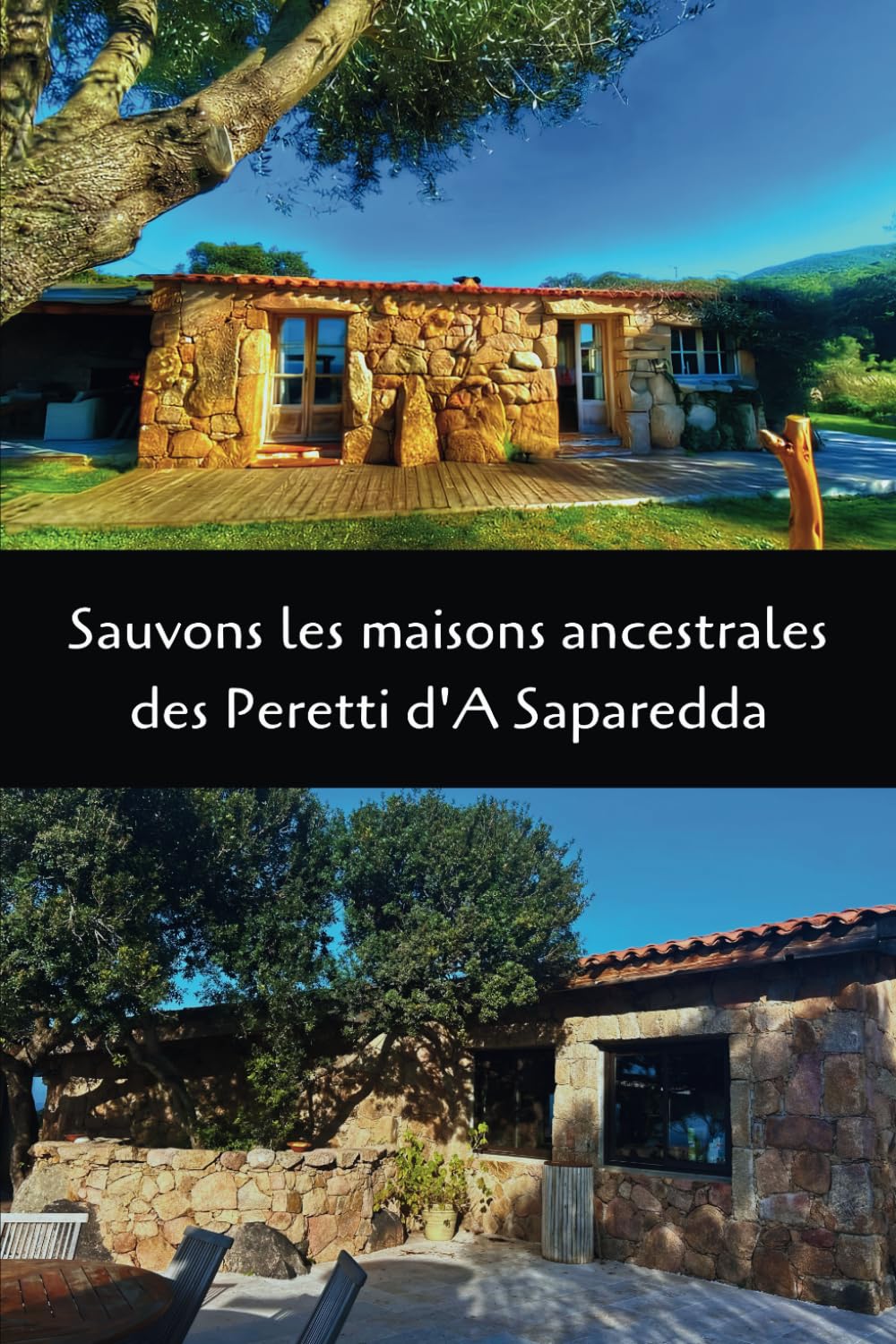 Sauvons les maisons ancestrales des Peretti d'A Saparedda book