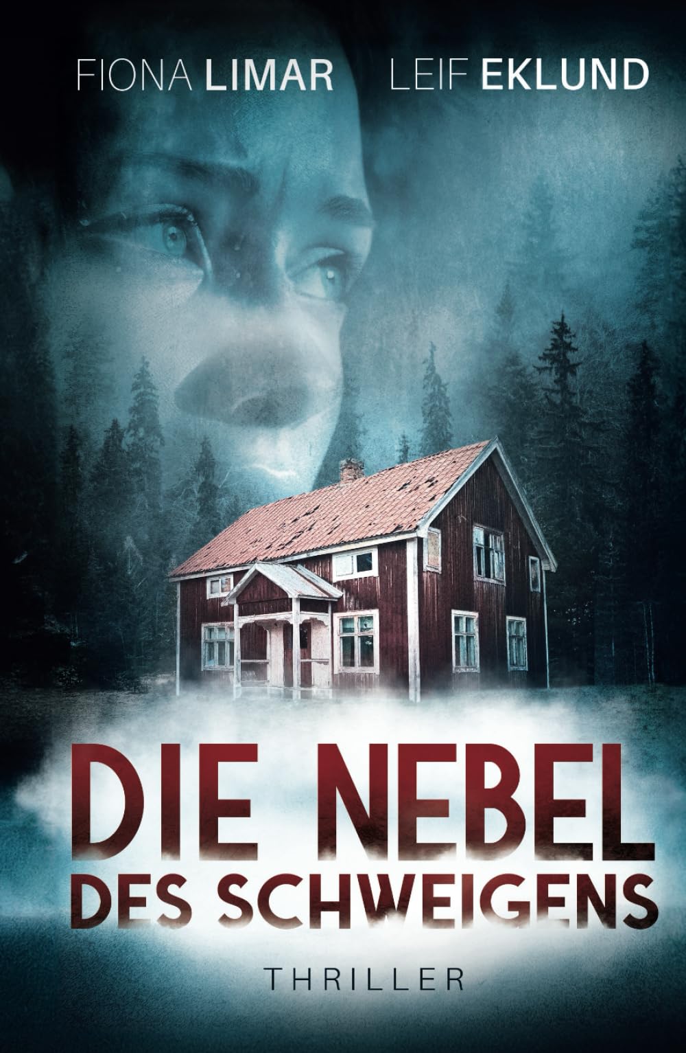 Die Nebel des Schweigens: Schwedenthriller Detective & CSI