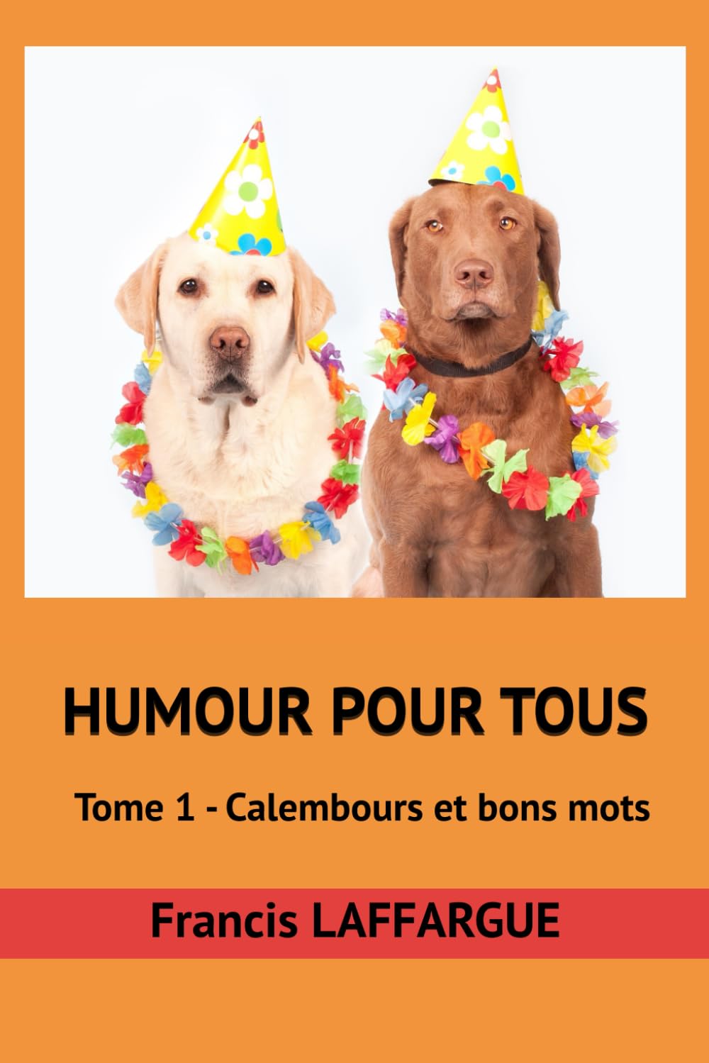 Humour pour tous: Tome 1 - Calembours et bons mots book