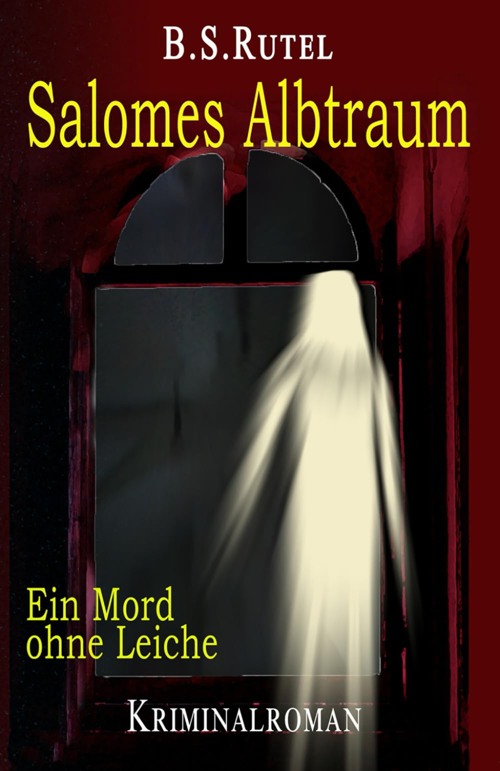 Salomes Albtraum: Ein Mord ohne Leiche (Ein Fall für Amadeus, Band 12) Social Sciences