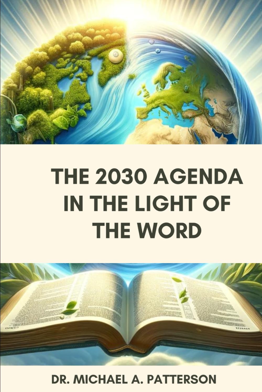 The 2030 Agenda In the Light of the Word book
