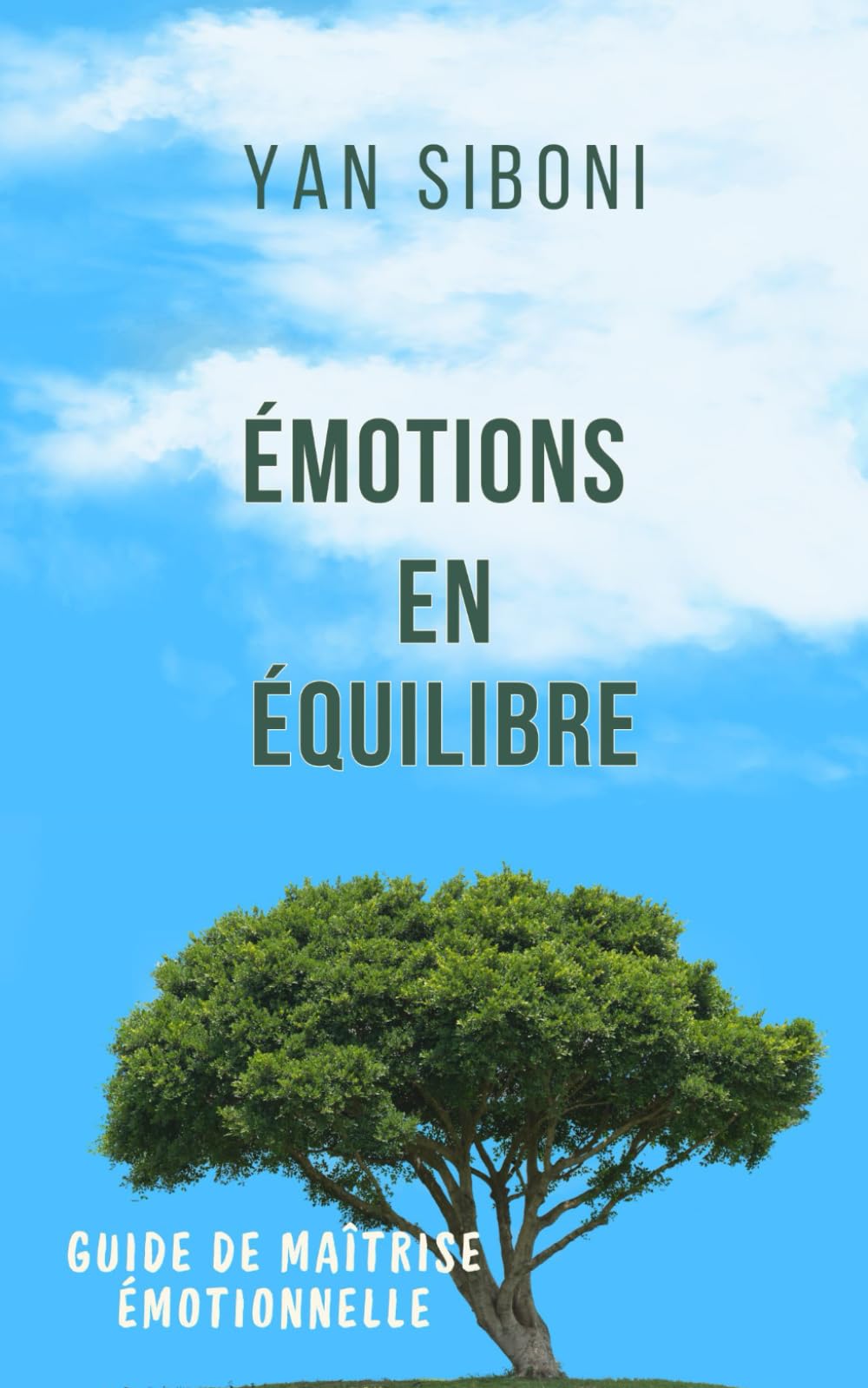 ÉMOTIONS EN ÉQUILIBRE: GUIDE DE MAITRISE ÉMOTIONNELLE book