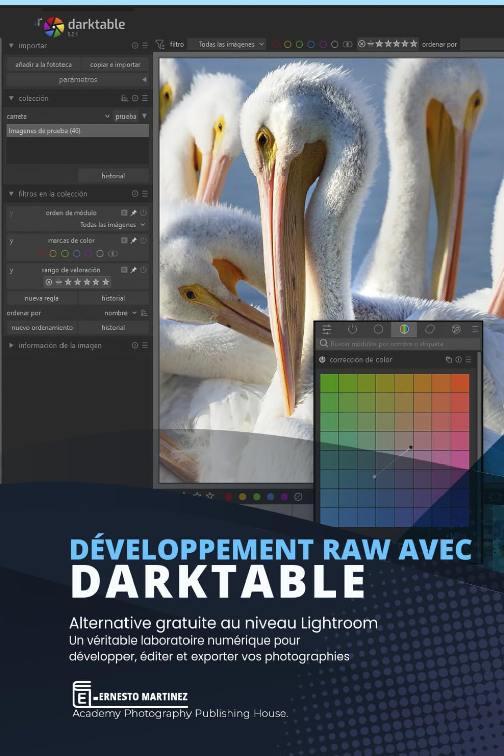 Développement RAW avec Darktable: Alternative gratuite au niveau Lightroom Un véritable laboratoire numérique pour développer, éditer et exporter vos photographies book