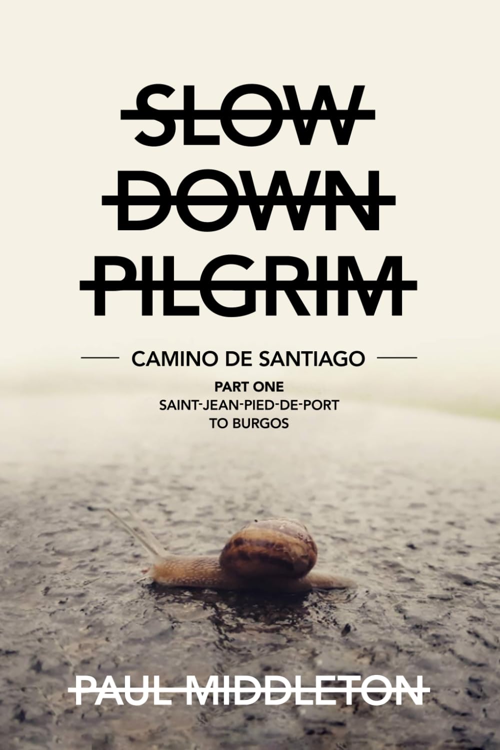 Slow Down Pilgrim: Camino De Santiago - Part One - Saint-Jean-Pied-De-Port to Burgos book