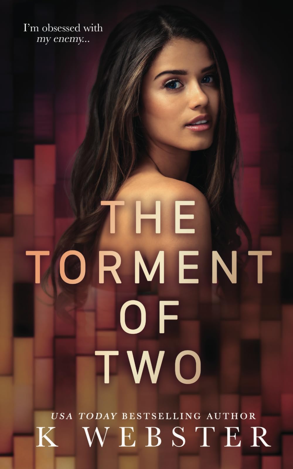 The Torment of Two (Shameful Secrets, Band 5) Historical Fiction