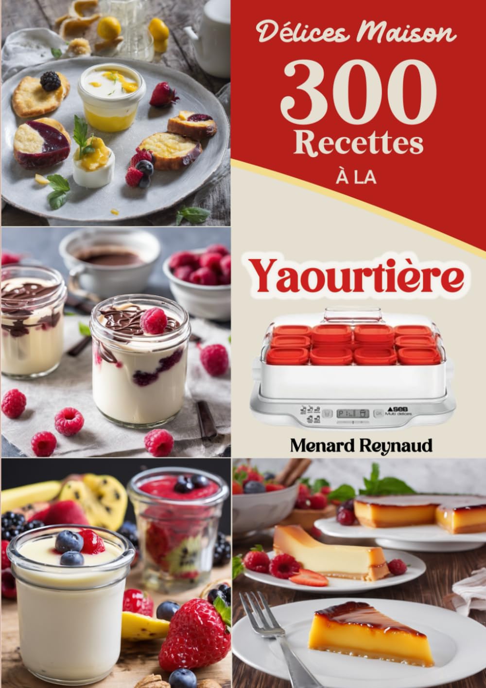 Délices Maison 300 Recettes À LA Yaourtière book