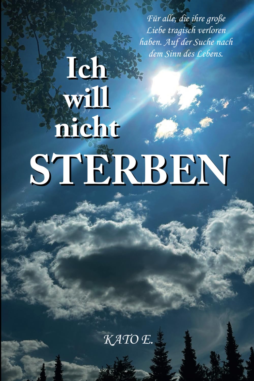 Ich will nicht sterben: Für alle, die ihre große Liebe tragisch verloren haben. Auf der Suche nach dem Sinn des Lebens.: Für alle, die ihre ... Auf der Suche nach dem Sinn des Lebens. Art & Literature Books