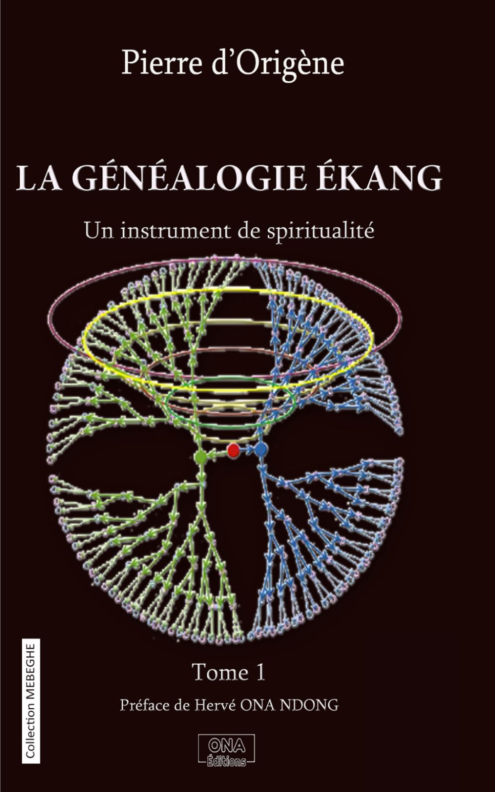 LA GENEALOGIE EKANG: Un instrument de spiritualité book
