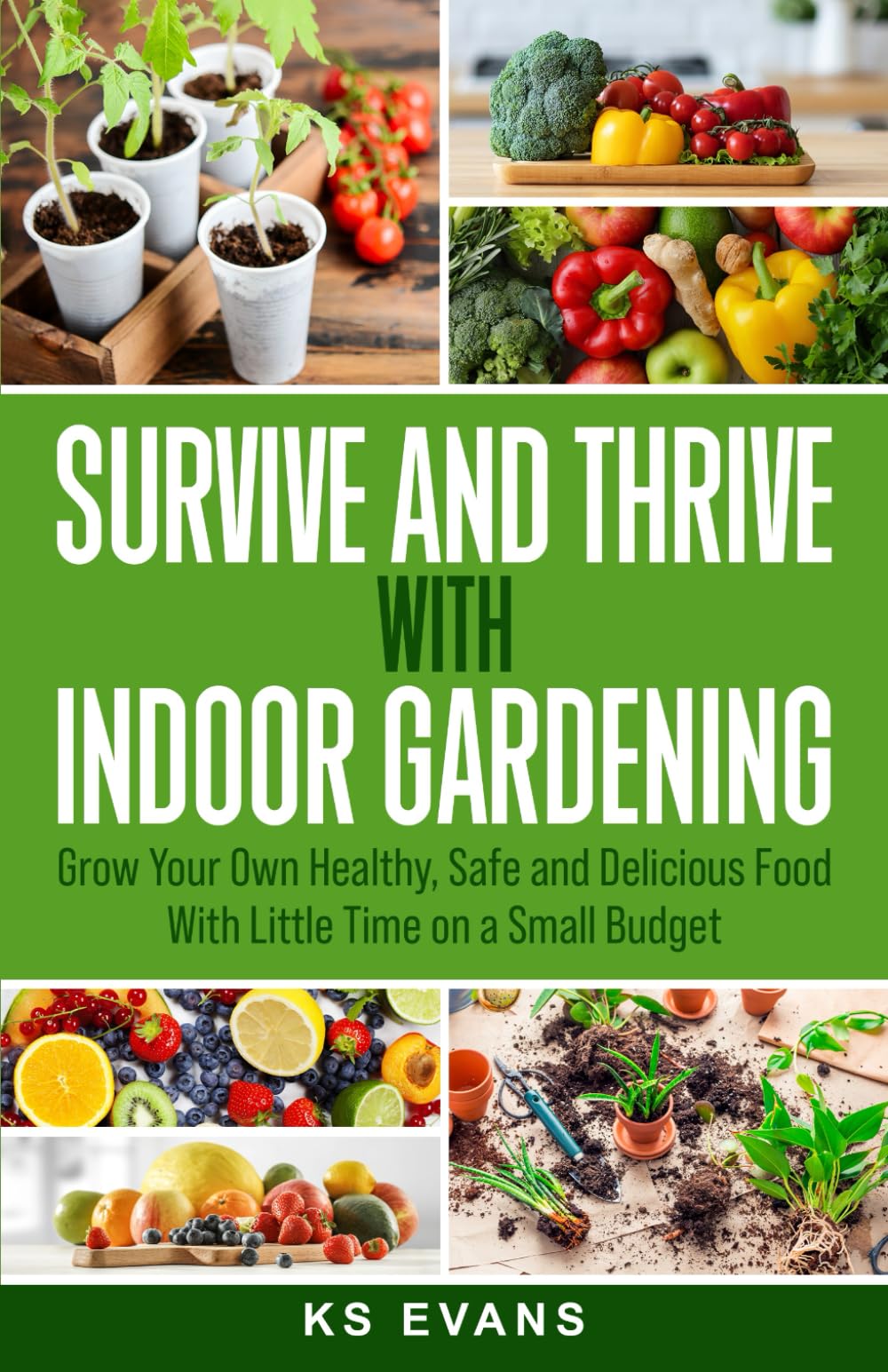 Survive and Thrive with Indoor Gardening: Grow Your Own Healthy, Safe and Delicious Food with Little Time on a Small Budget Garden & Plants