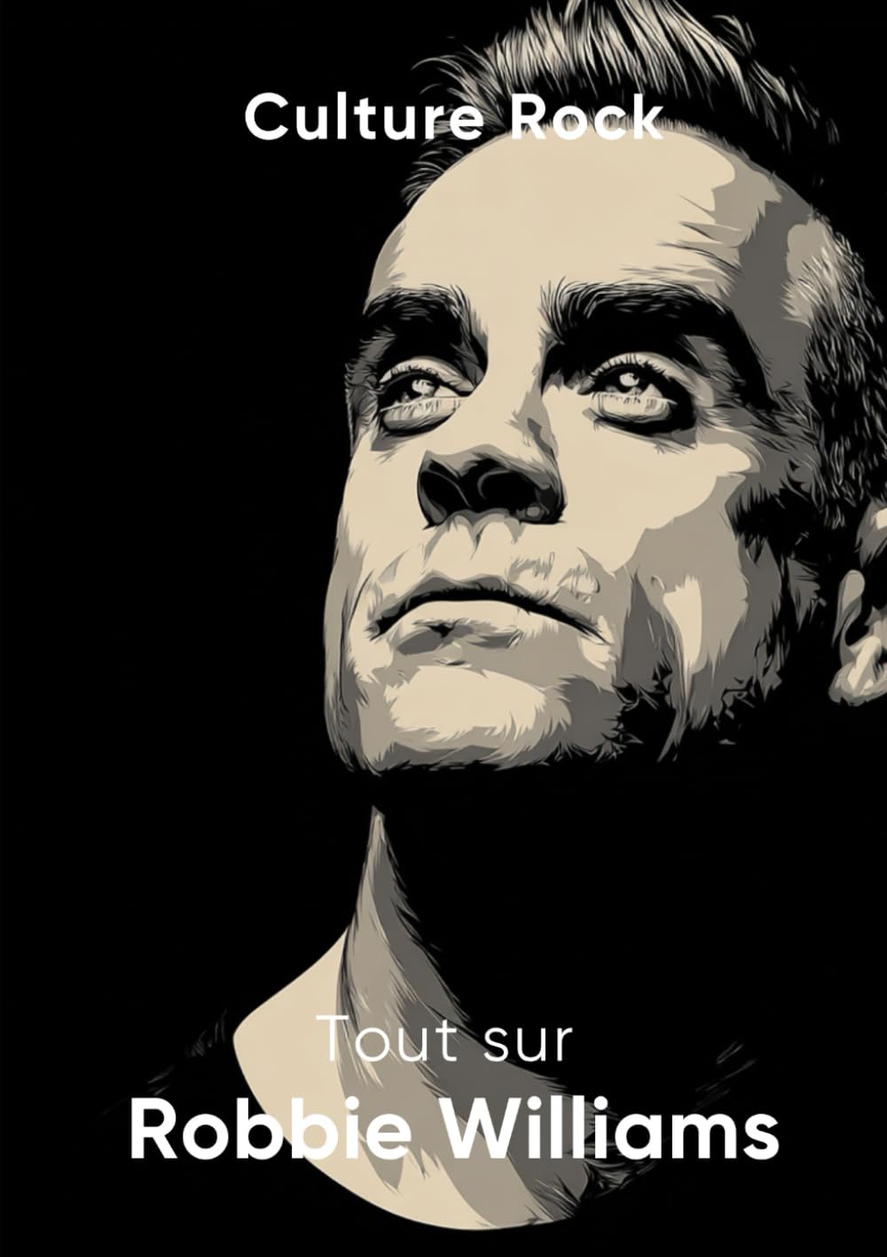 Tout sur Robbie Williams book