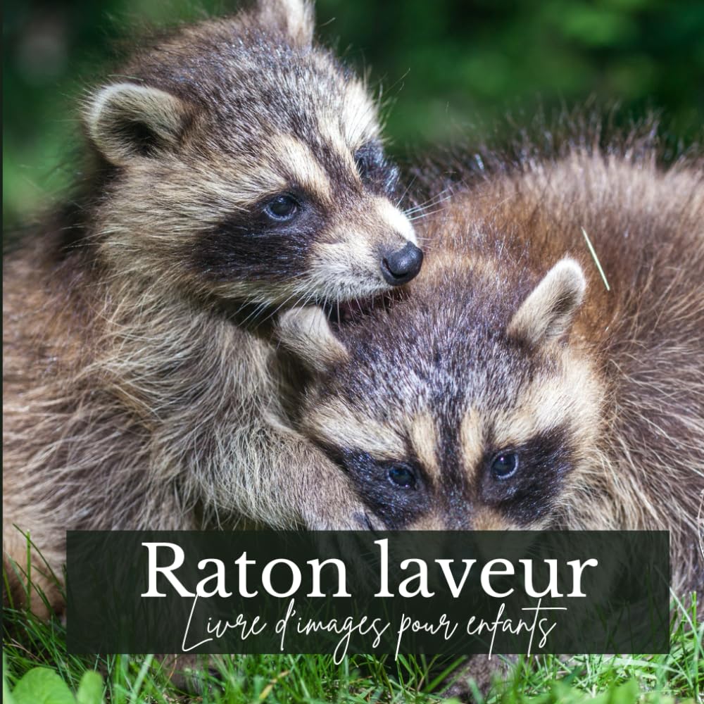 Raton Laveur: Livre d'images pour enfants book