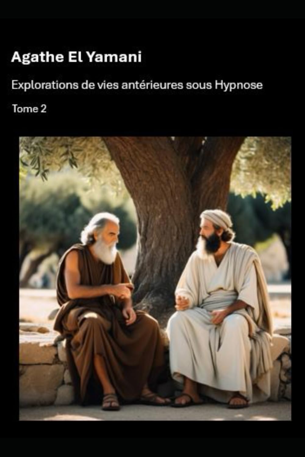 Explorations de vies antérieures sous Hypnose: Tome 2 book