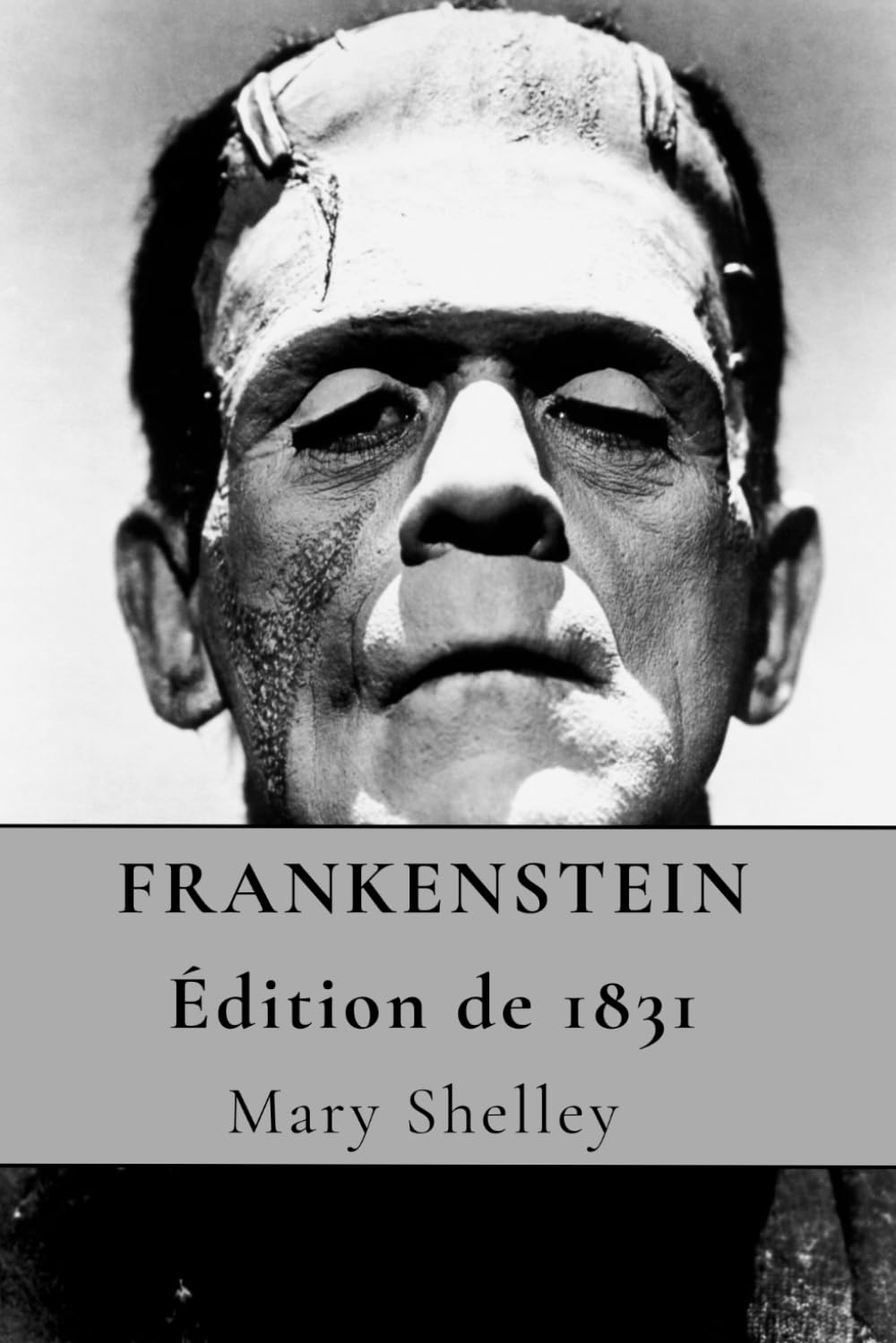 FRANKENSTEIN – OU LE PROMÉTHÉE MODERNE – Édition de 1831 book