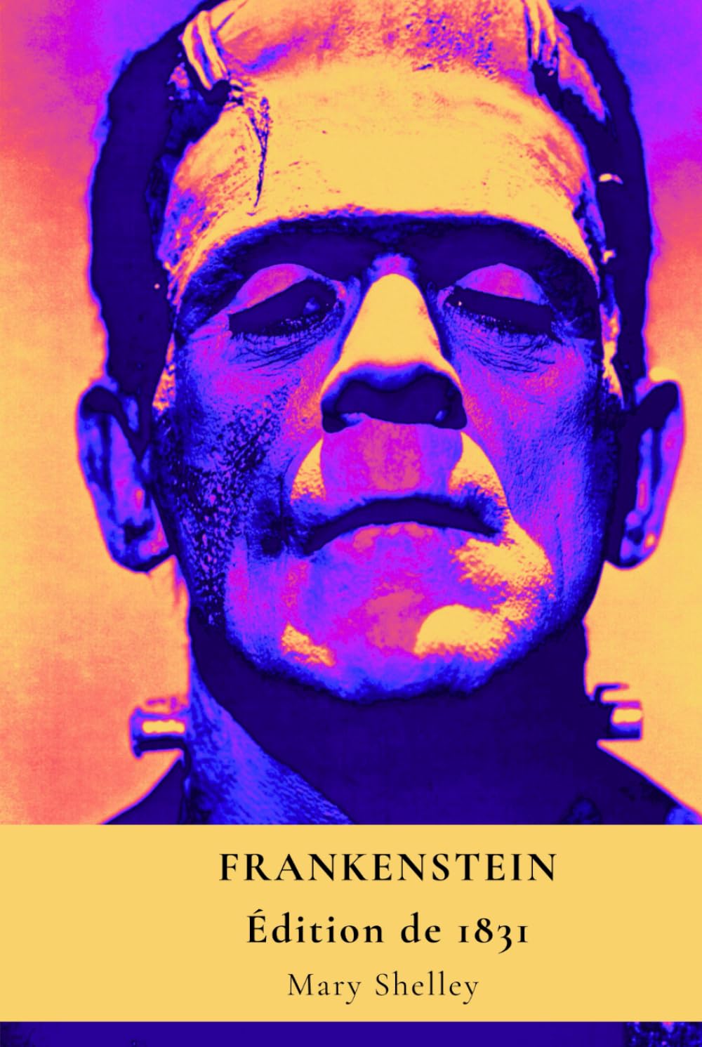 FRANKENSTEIN – OU LE PROMÉTHÉE MODERNE – Édition de 1831 book