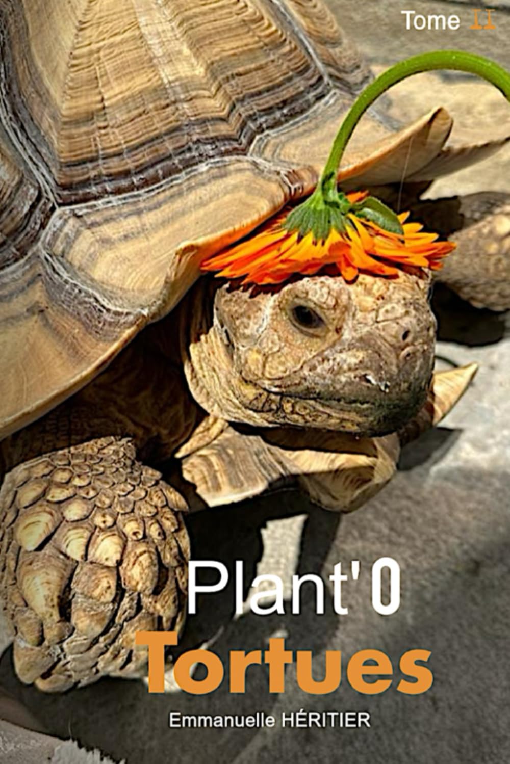 PLANT'O TORTUES : Tome 2 (B - C): Guide et identification de plantes comestibles book
