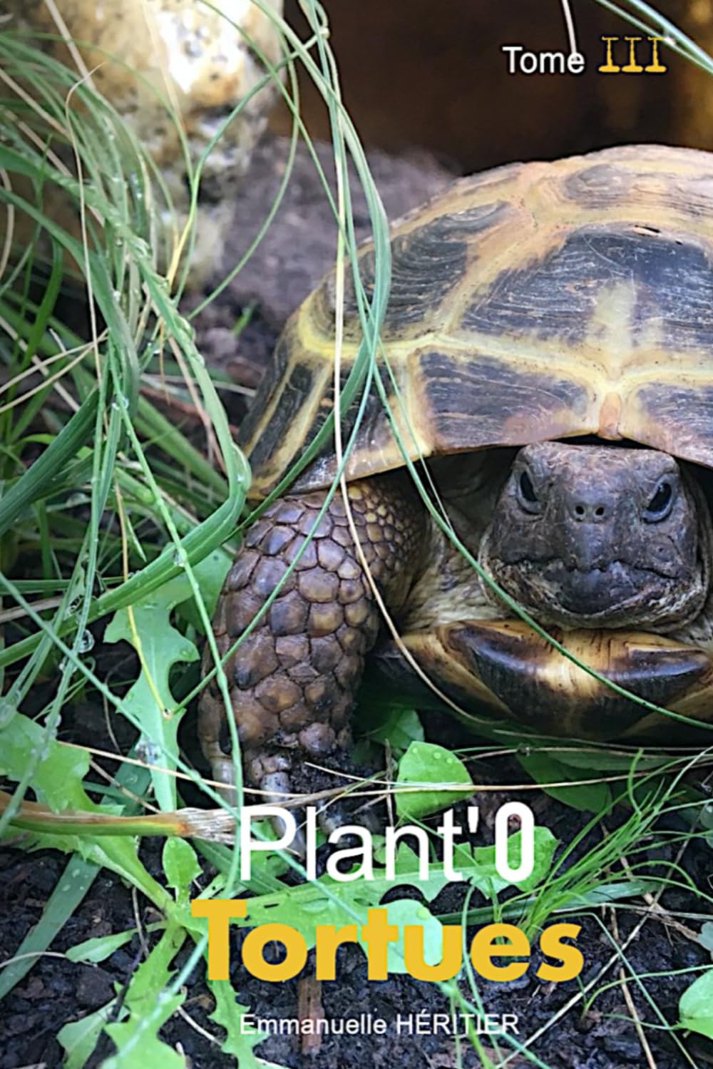 PLANT'O TORTUES: Tome 3 (E-L) - Guide et identification de plantes comestibles book