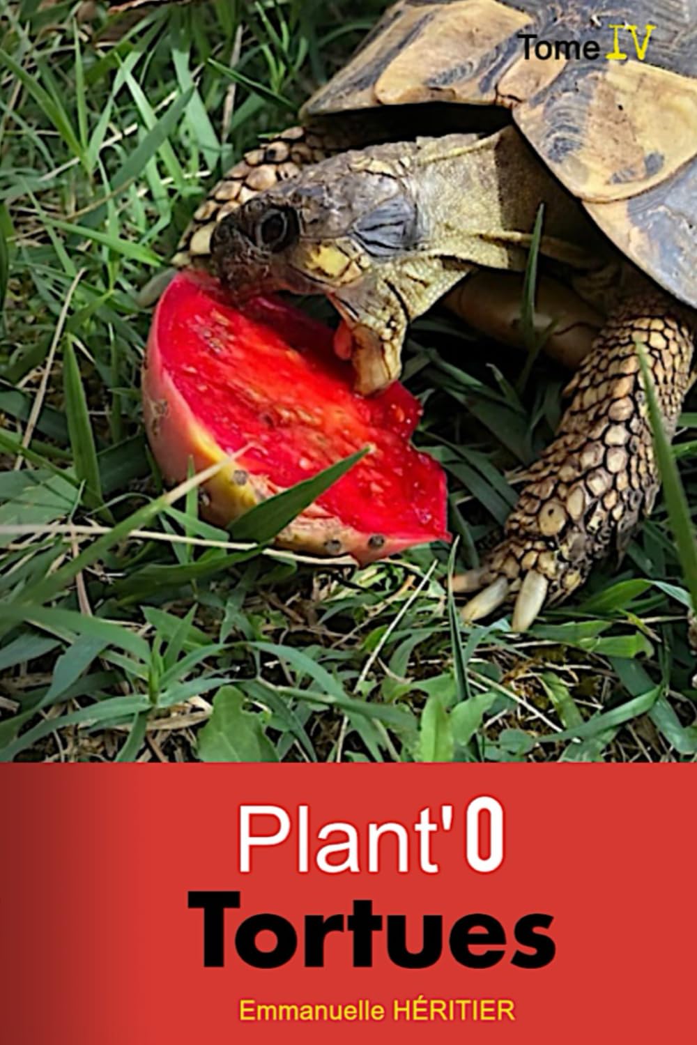 PLANT'O TORTUES: Tome 4 (M-O) - Guide et identification de plantes comestibles book