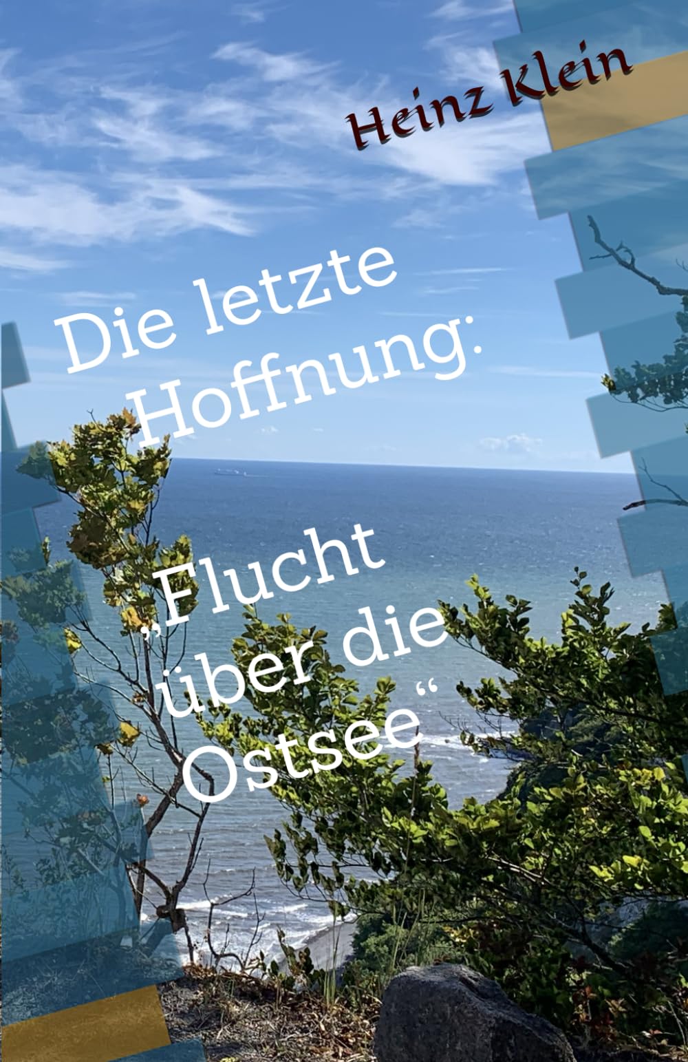 Die letzte Hoffnung: „Flucht über die Ostsee“ (Erdbeerhof) Contemporary Romance
