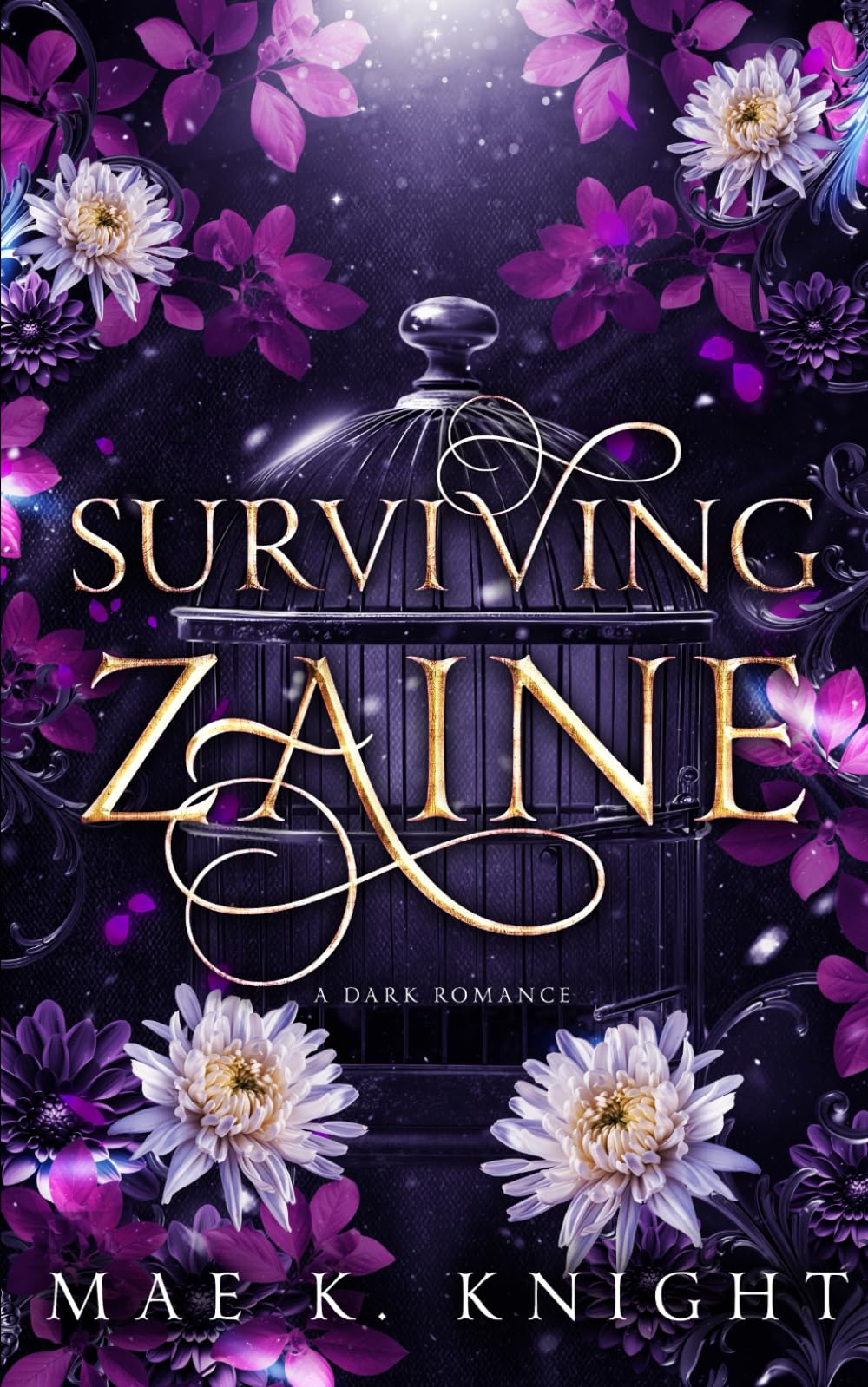 Surviving Zaine: A Kidnapper Dark Romance (Lasher Brothers Duet, Band 1) Eroticism