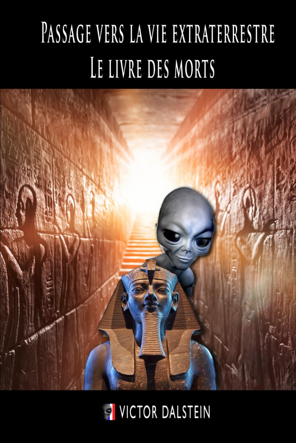 Passage vers la vie extraterrestre : Le livre des morts book