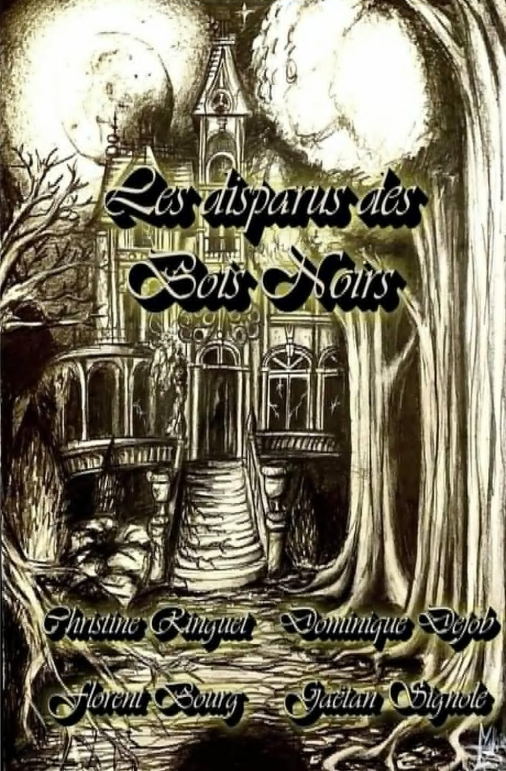Les disparus des Bois Noirs book