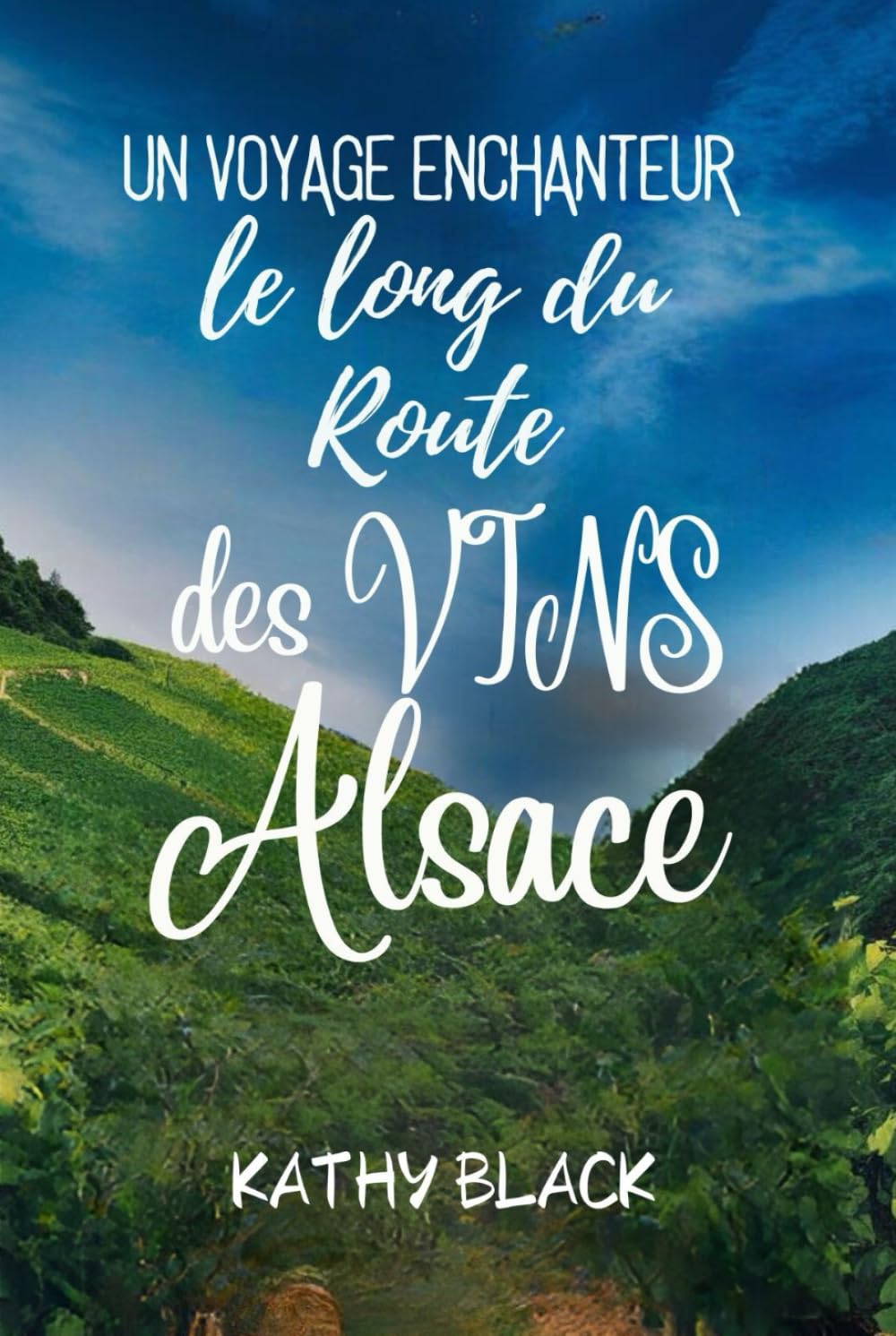 Un voyage enchanteur le long du Route des Vins d'Alsace 2024 2025: Découvrez le cœur des vignobles, villages et millésimes de France. book