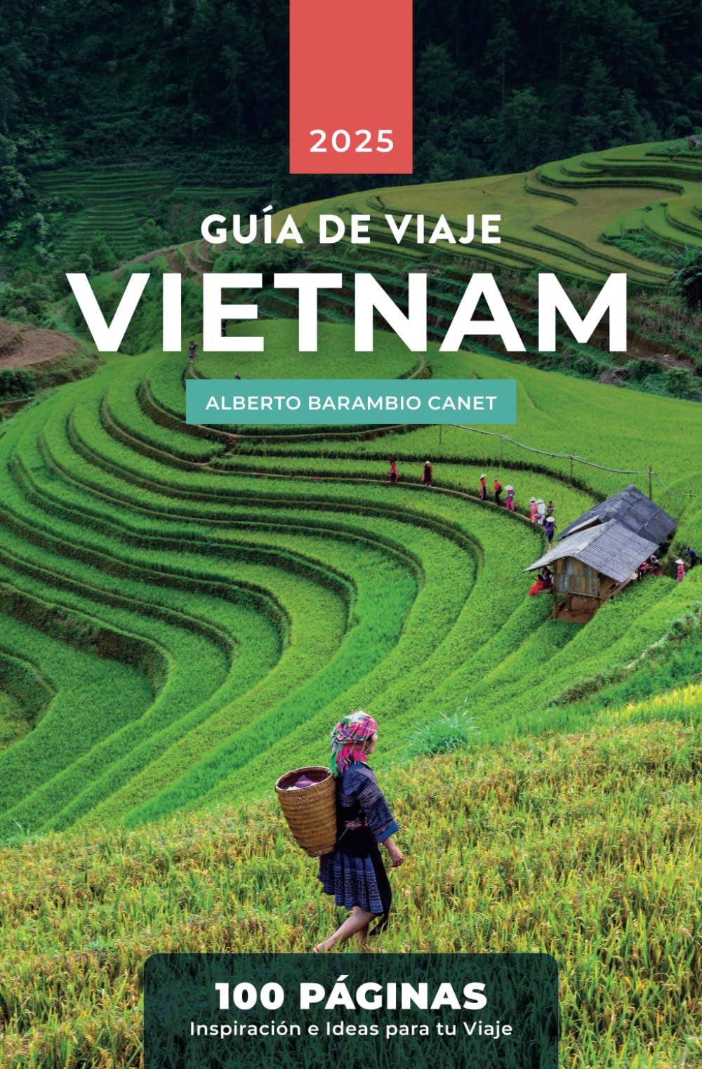 GUÍA de VIETNAM en 100 PÁGINAS: Inspiración e ideas para tu viaje book