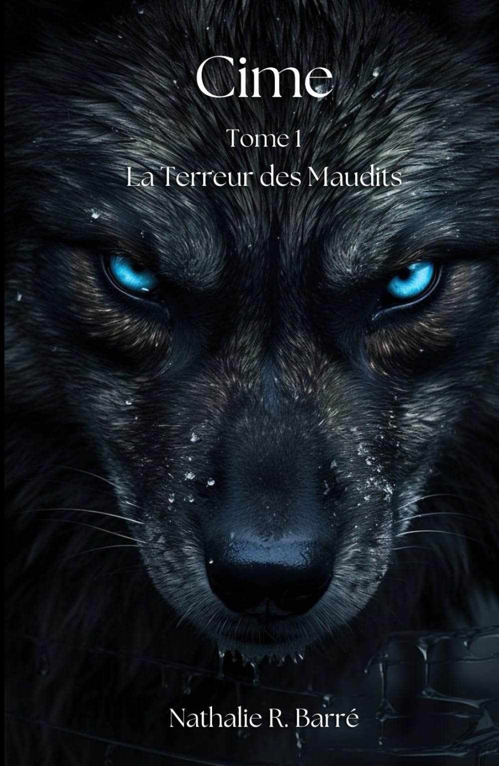 Cime Tome 1: La Terreur des Maudits book