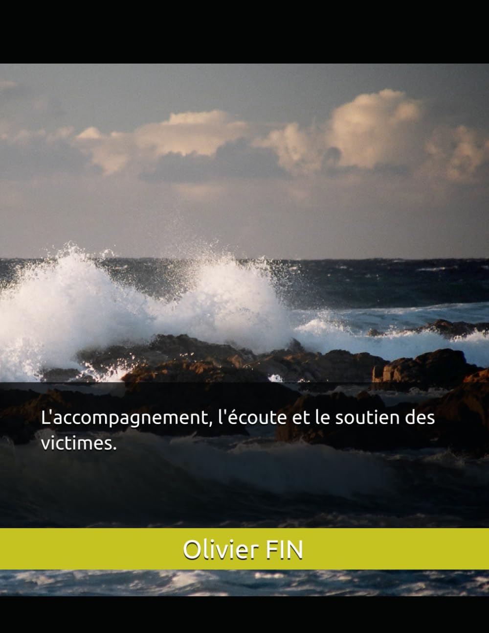 Recueil dédié à l'accompagnement, l'écoute et le soutien des victimes. book