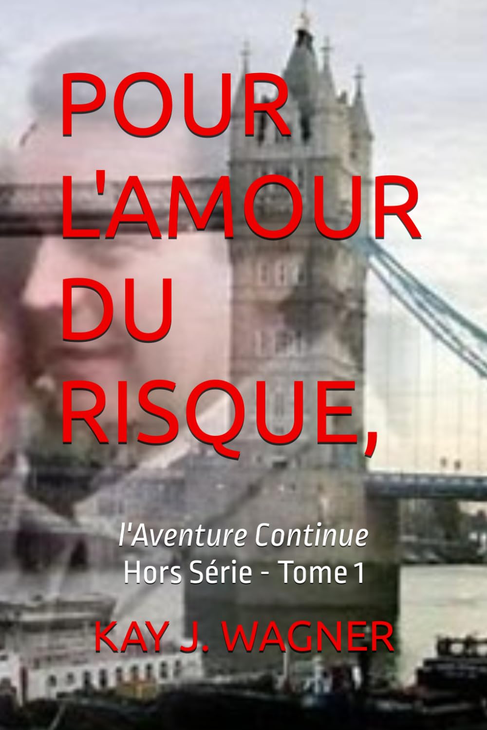 POUR L'AMOUR DU RISQUE: l'Aventure Continue - Hors Série - Tome 1 book