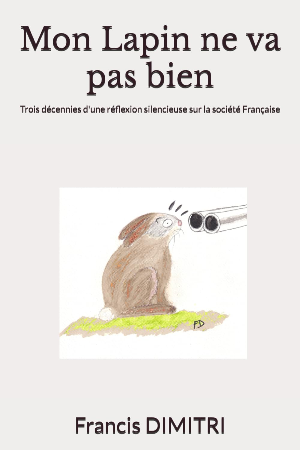 Mon Lapin ne va pas bien: Trois décennies d'une réflexion silencieuse sur la société Française book