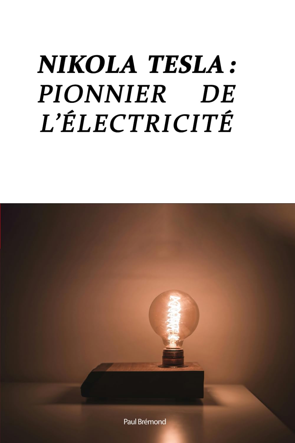 Nikola Tesla: Pionnier de l'Électricité Moderne book